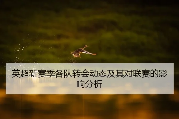 ying-chao-xin-sai-ji-ge-dui-zhuan-hui-dong-tai-ji-qi-dui-lian-sai-de-ying-xiang-fen-xi-2-269.jpg