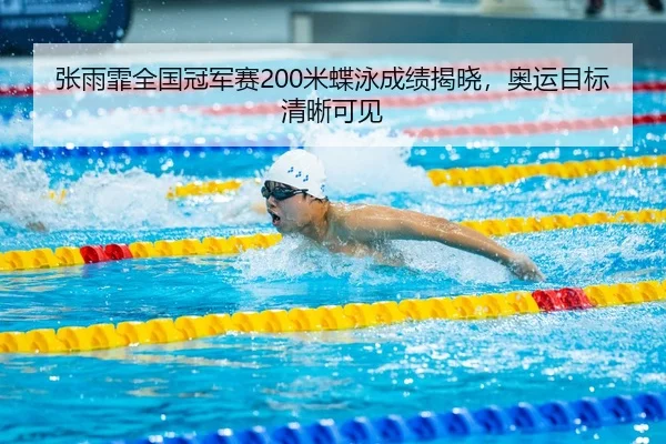 zhang-yu-fei-quan-guo-guan-jun-sai-mi-die-yong-cheng-ji-jie-xiao-ao-yun-mu-biao-qing-xi-ke-jian-3-955.jpg