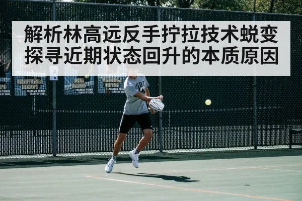 解析林高远反手拧拉技术蜕变 探寻近期状态回升的本质原因
